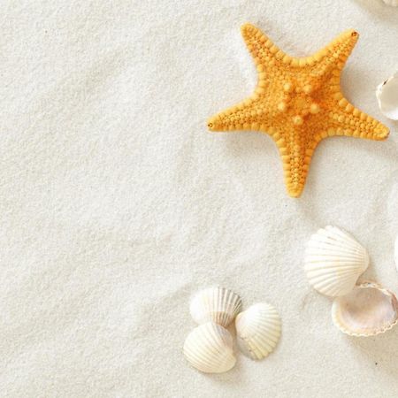Villa Hawaii Rapotín Dış mekan fotoğraf